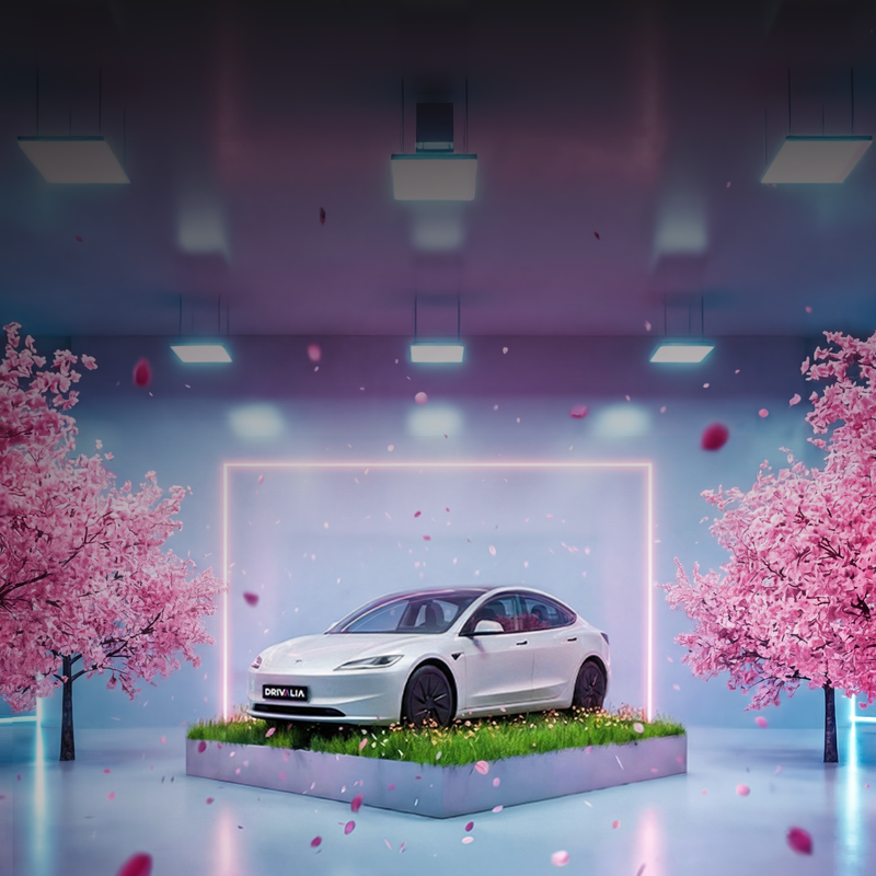 SPRINT <br>DE LENTE IN